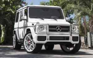 Mercedes-AMG G63 on Forgiato Wheels (F2.09-M)